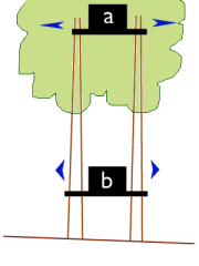 Motion of trees affects the treehouse depending on its position