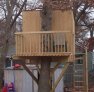 Fry treehouse