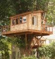Trefford Woodford treehouse